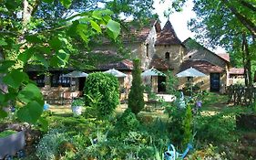 Auberge De Castel-Merle